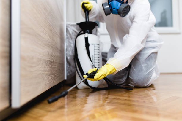 Best Cockroach Control Services  in Glastonbury Center, CT